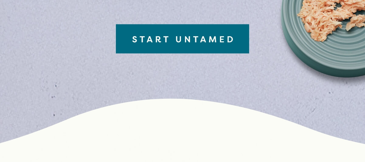 Start Untamed