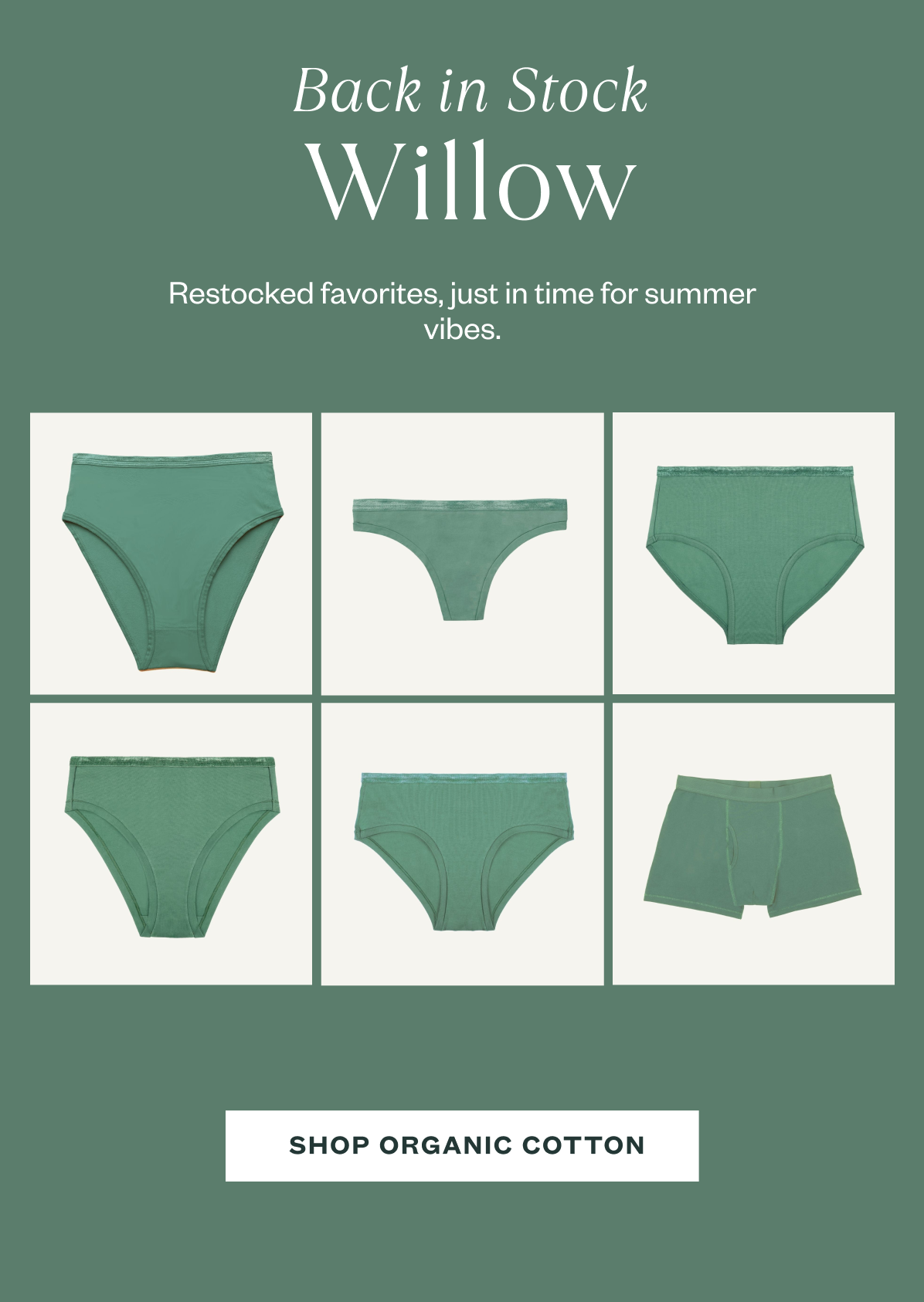 back in stock willow