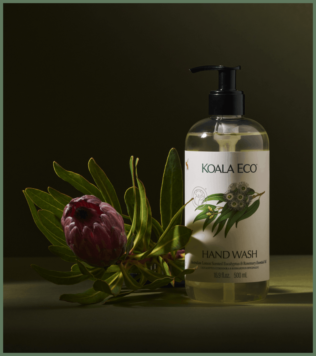 (a) Hand Wash