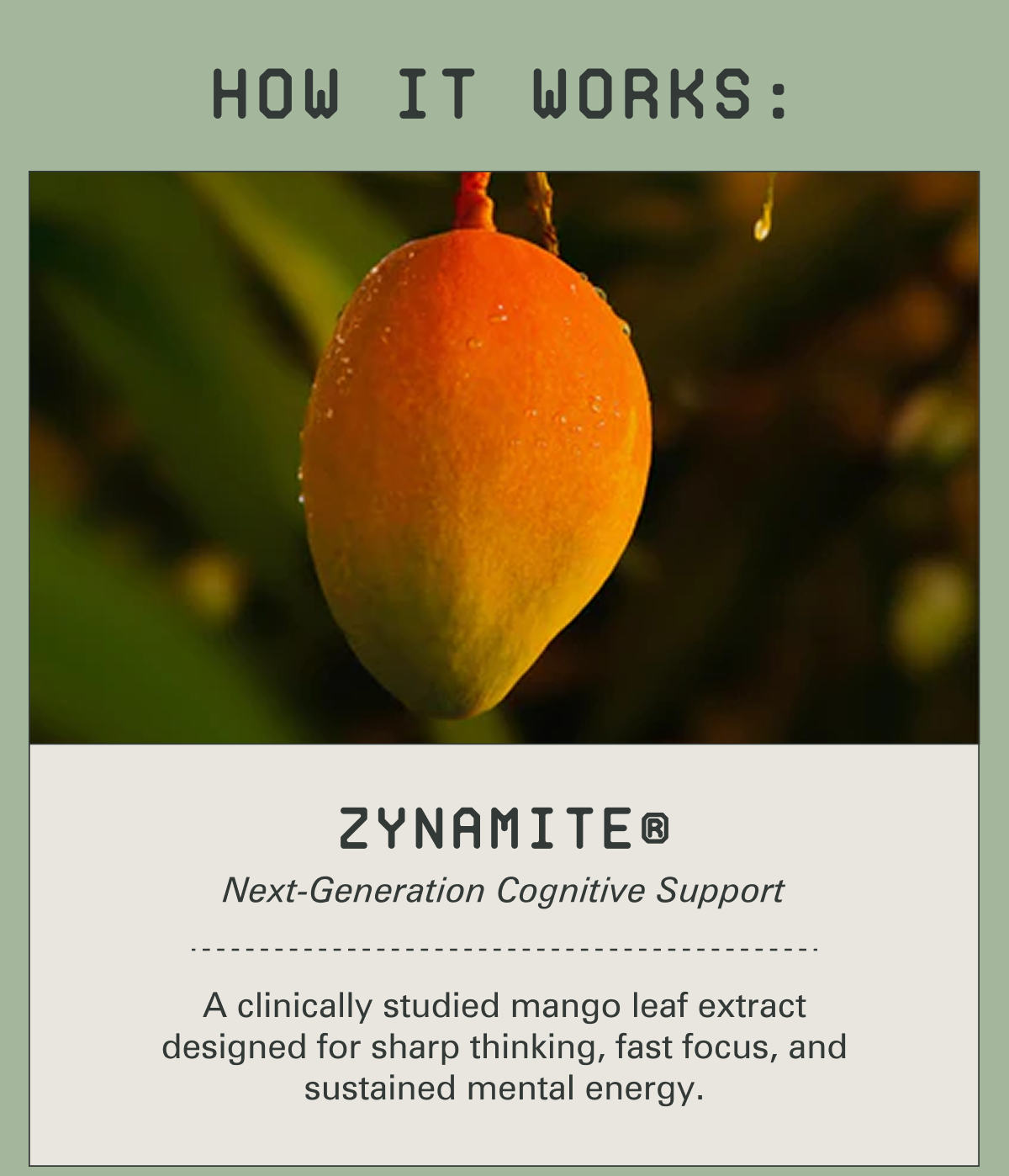 ZYNAMITE®