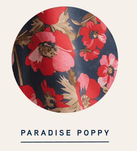 Paradise Poppy