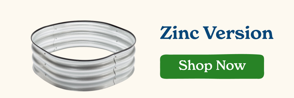 Zinc