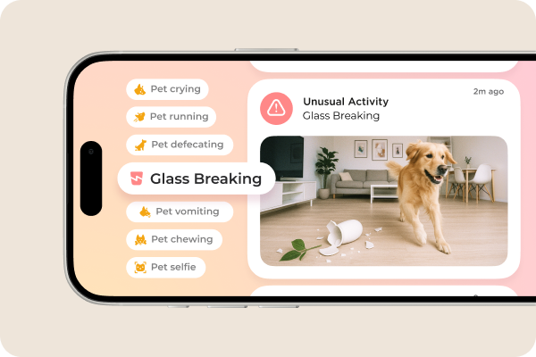 Smart alerts