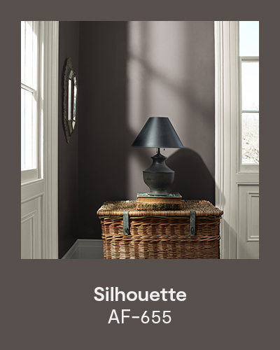 Silhouette AF-655 - A brown painted entryway with a wicker table topped with books and a small black accent lamp.