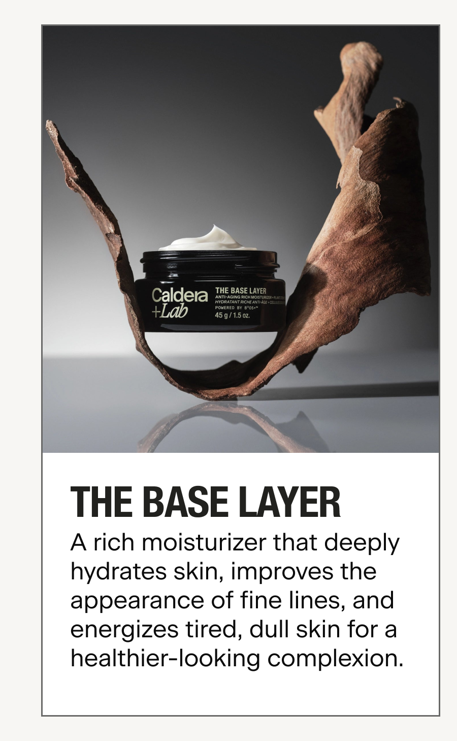 THE BASE LAYER