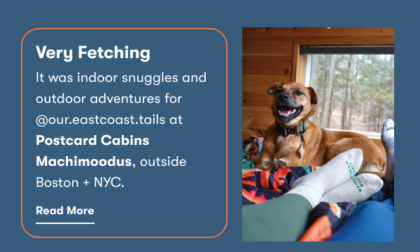 Very Fetching