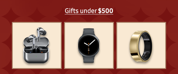 Gifts under $500