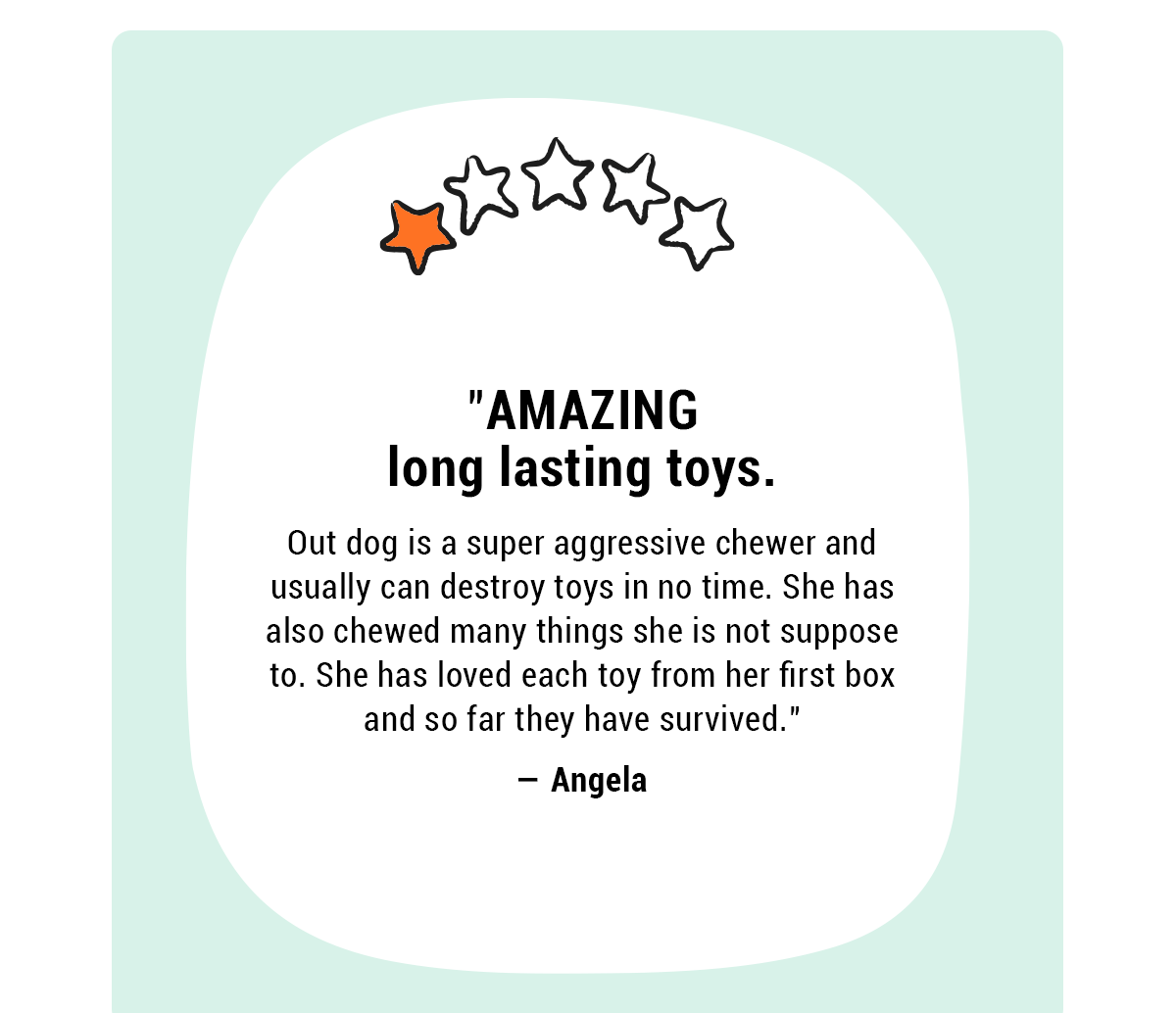 Bullymake Dog Toy Subscription Box