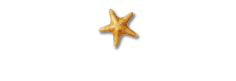 https://www.visitsealife.com/auckland/plan-your-day/