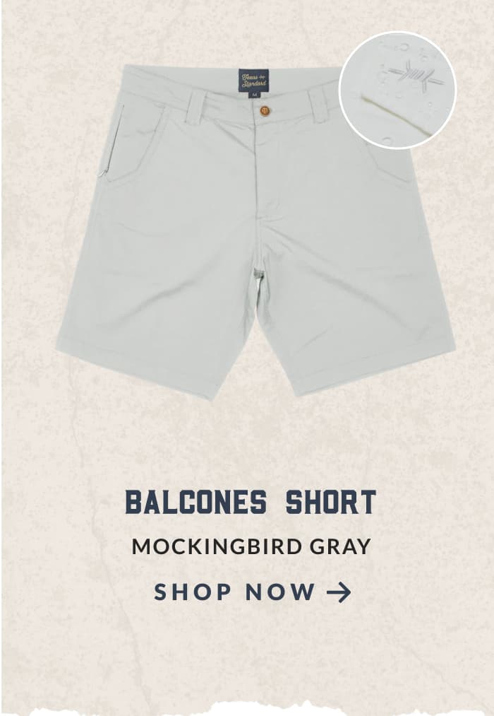 MOCKINGBIRD GRAY
