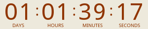 Countdown Timer