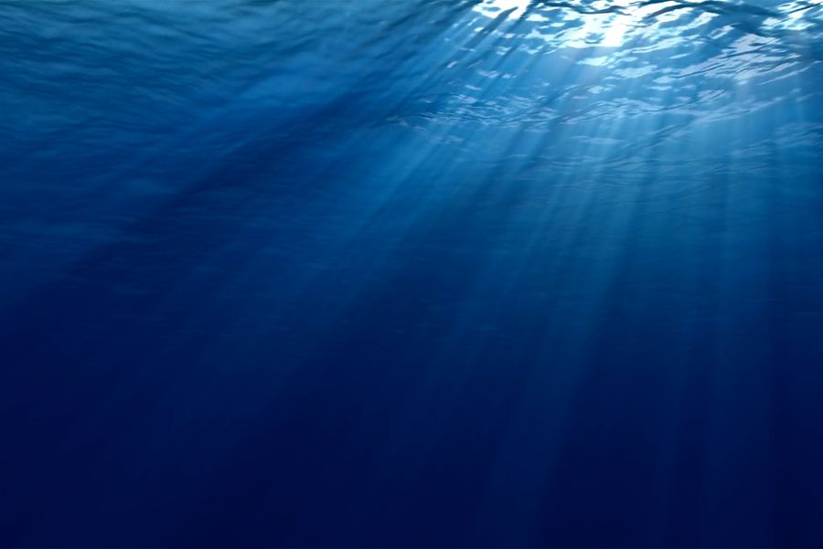 Photo: An underwater image of dark blue waters looking up at the surface