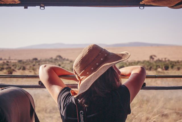 Travel overland on a game park drive