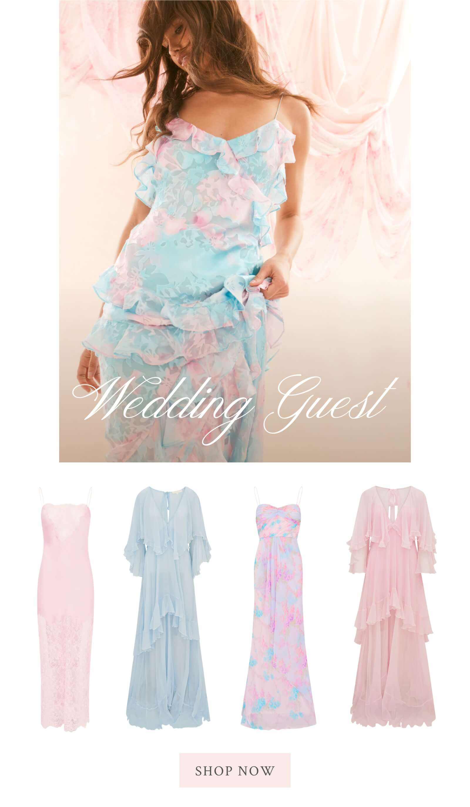 Wedding Guest <SHOP NOW>