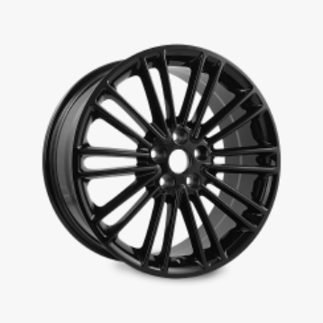 A 10 double-spoke gloss Ford Fusion rim.
