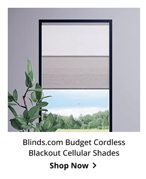 Blinds.com Budget Cordless Blackout Cellular Shades | Shop Now >