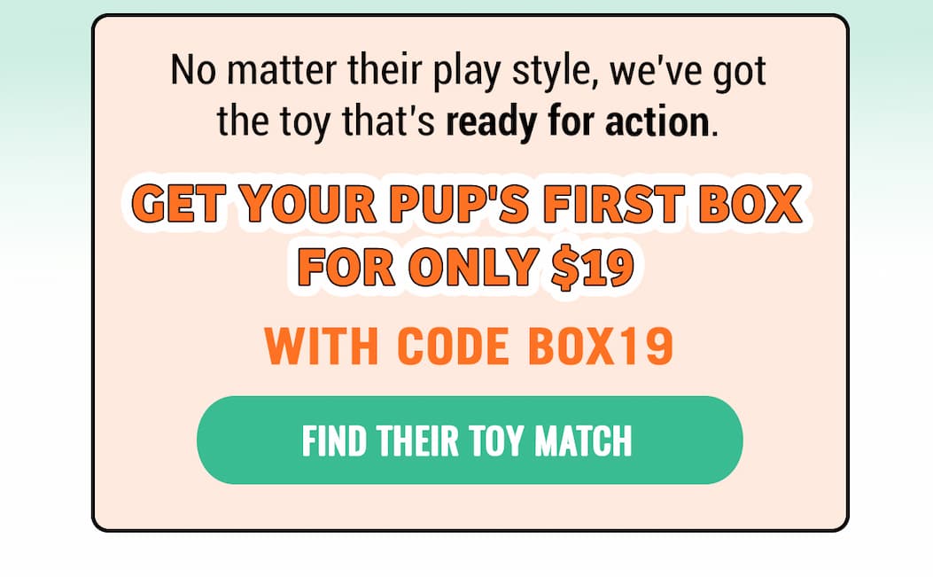 Bullymake Dog Toy Subscription Box