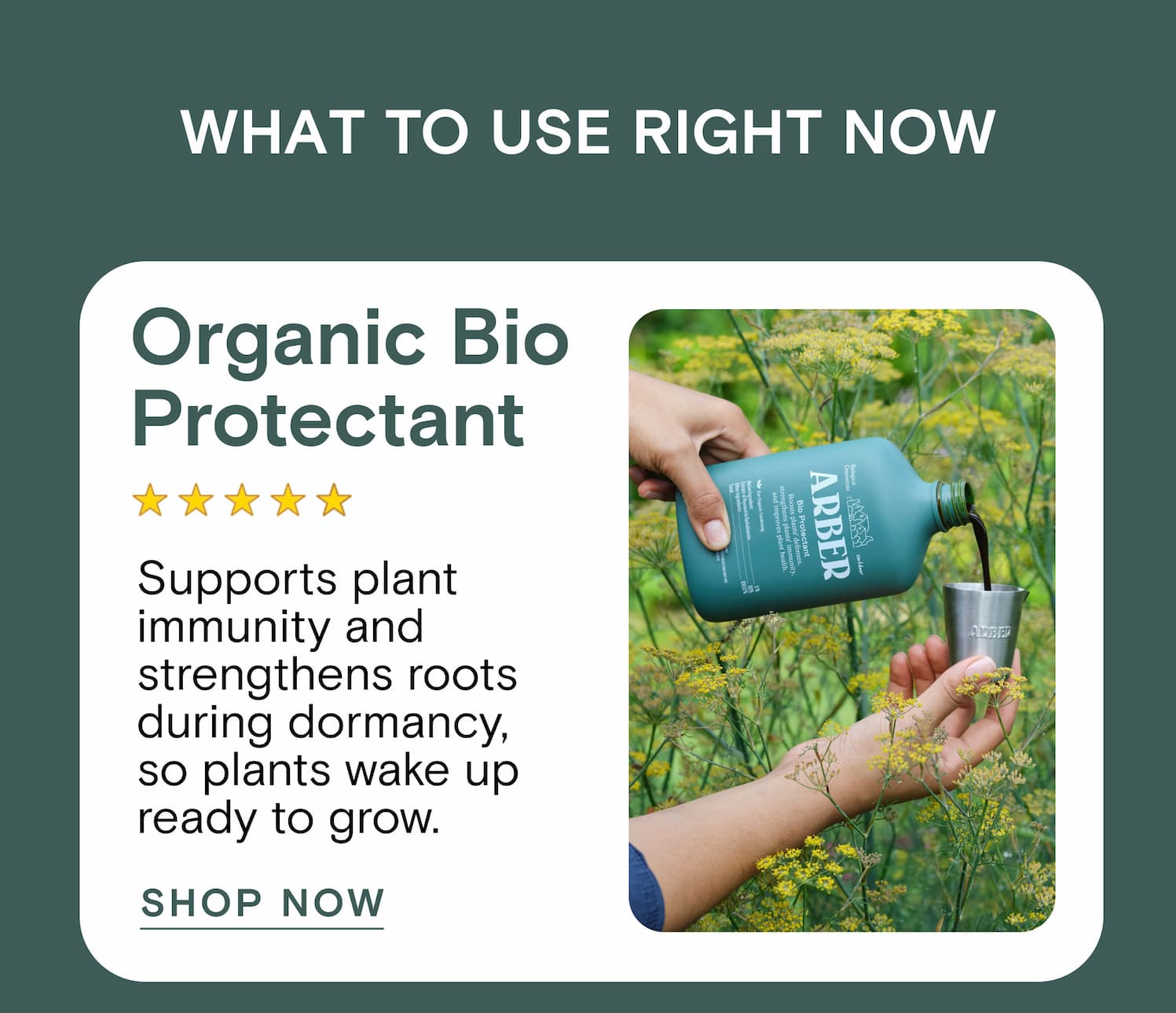 What to use right now Organic Bio Protectant Supports plant immunity and strengthens roots during dormancy, so plants wake up ready to grow.