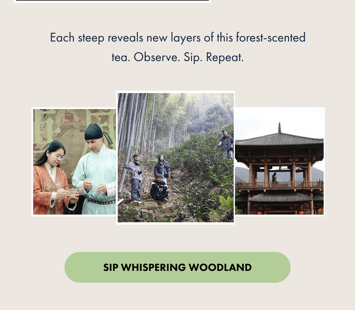 Each steep reveals new layers of this forest-scented tea. Observe. Sip. Repeat. SIP WHISPERING WOODLAND