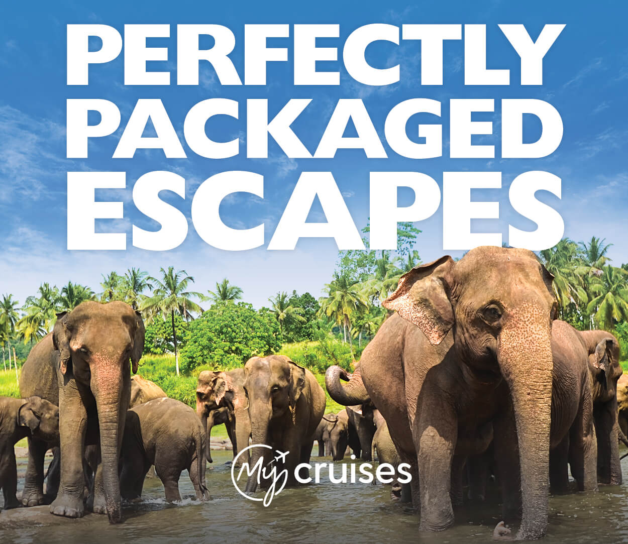 Packages Exclusive to My Holiday