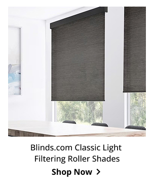 Blinds.com Classic Light Filtering Roller Shades | Shop Now >
