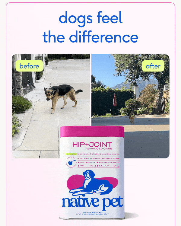 dogs feel the difference before after 