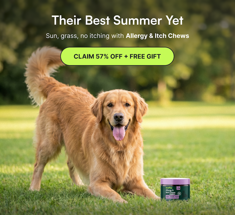 Their Best Summer Yet | Sun, grass, no itching with Allergy & Itch Chews