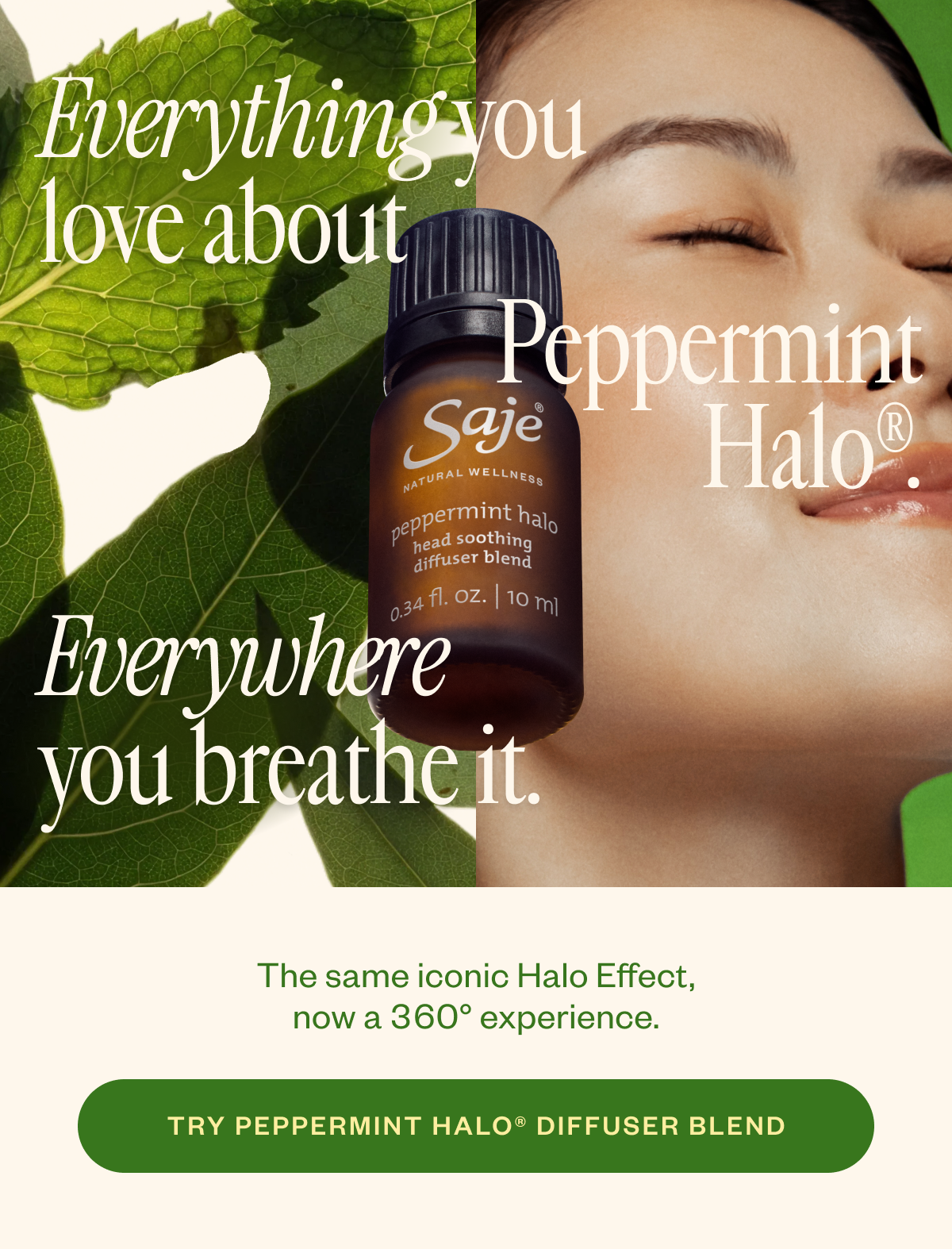 Everything you love about Peppermint Halo. Everywhere you breath it.