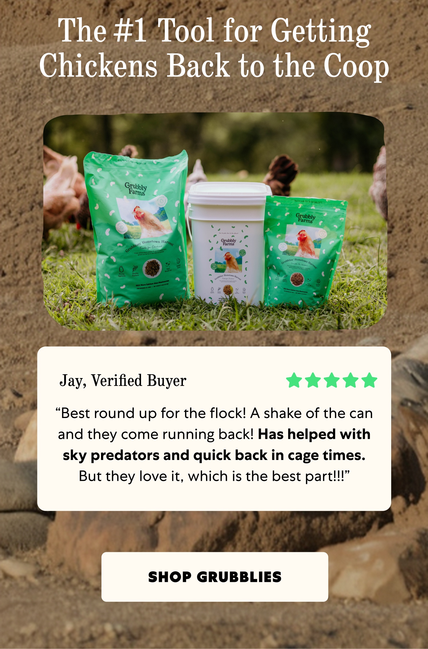 The #1 Tool for Getting Chickens Back to the Coop Jay, Verified Buyer “Best round up for the flock! A shake of the can and they come running back! Has helped with sky predators and quick back in cage times. But they love it, which is the best part!!!” Shop Grubblies