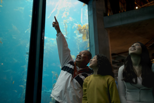 A group of three people looking up and pointing at the tall windows of the Kelp Forest exhibit with joy and wonder 
