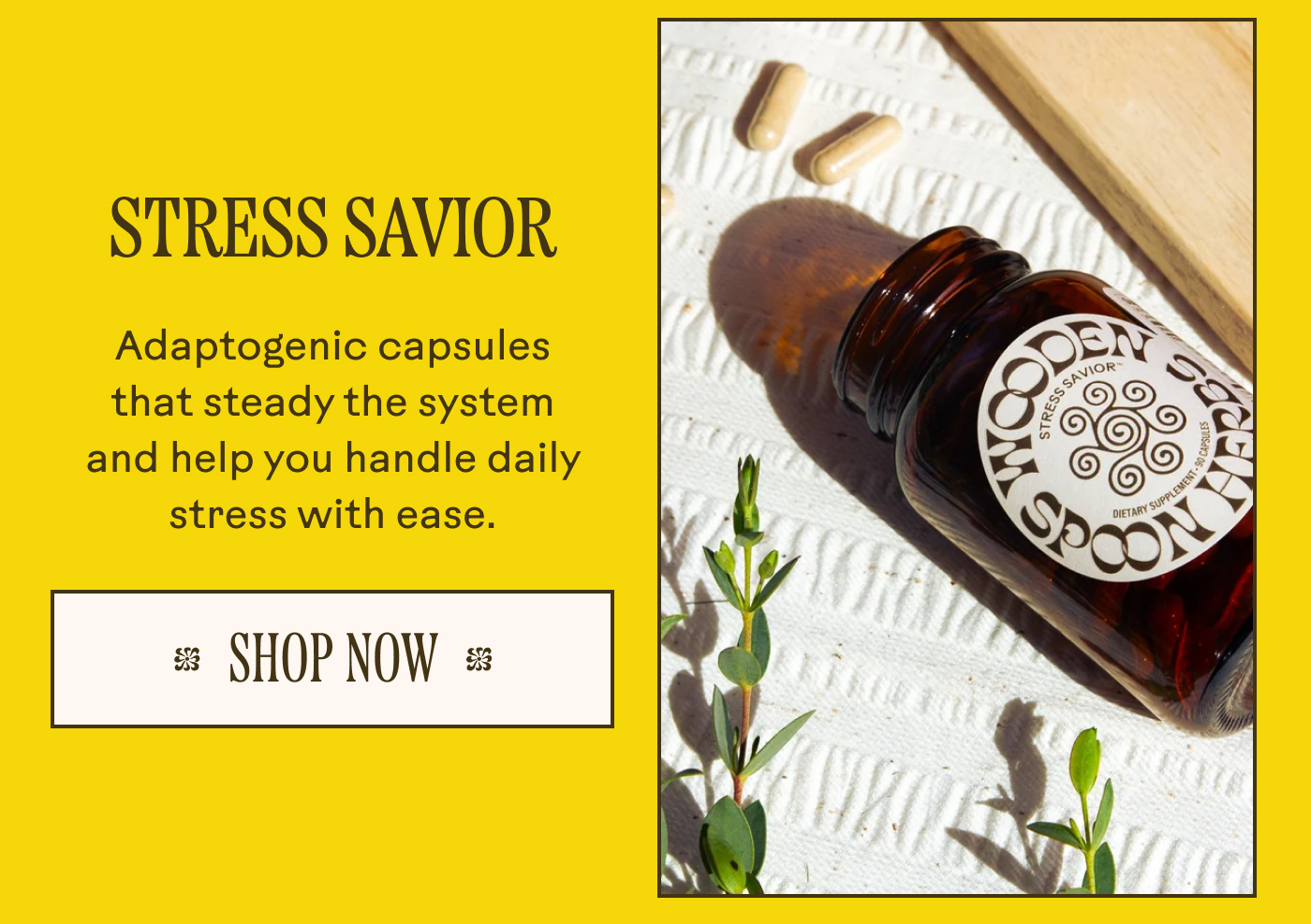 Stress Savior: Adaptogenic capsules that steady the system and help you handle daily stress with ease.
