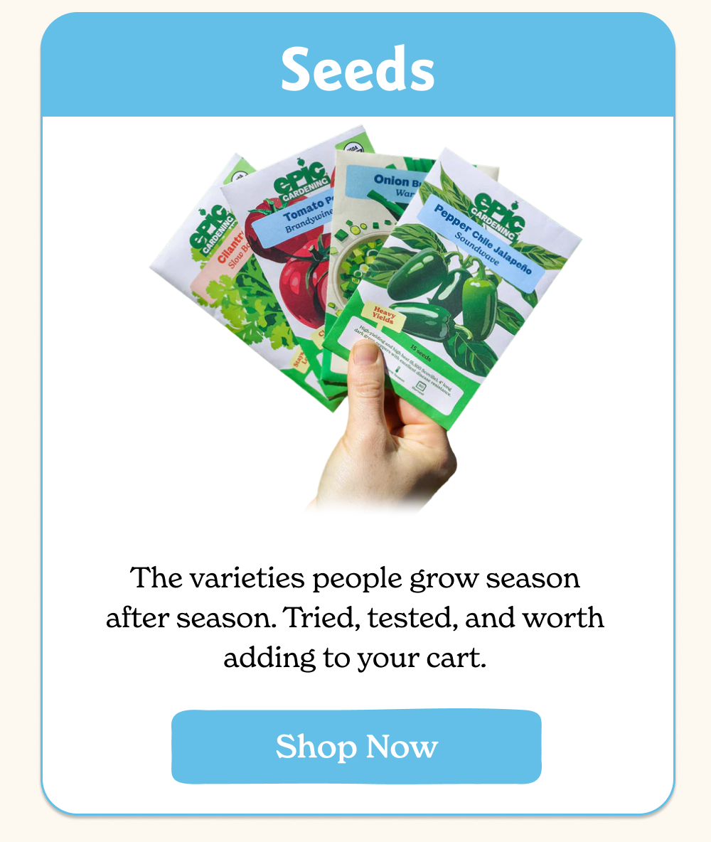 The varieties people grow season after season. Tried, tested, and worth adding to your cart.