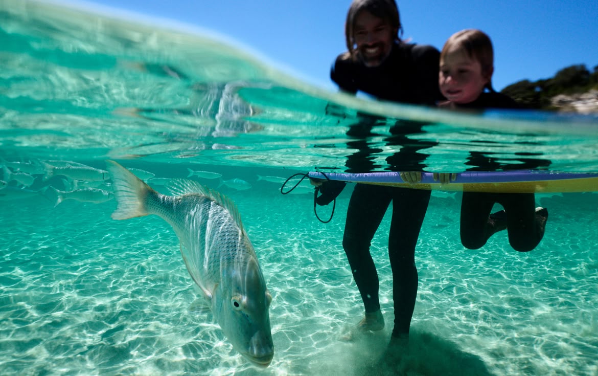 A child and adult admire a fish in the ocean. 