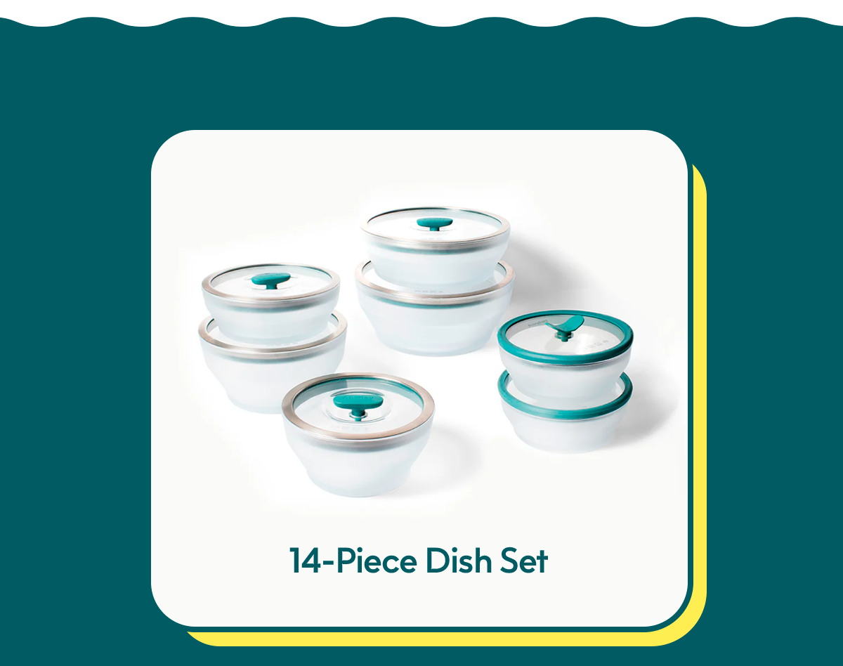 14-Piece Dish Set
