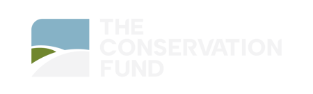 TCF24-Secondary-Logo