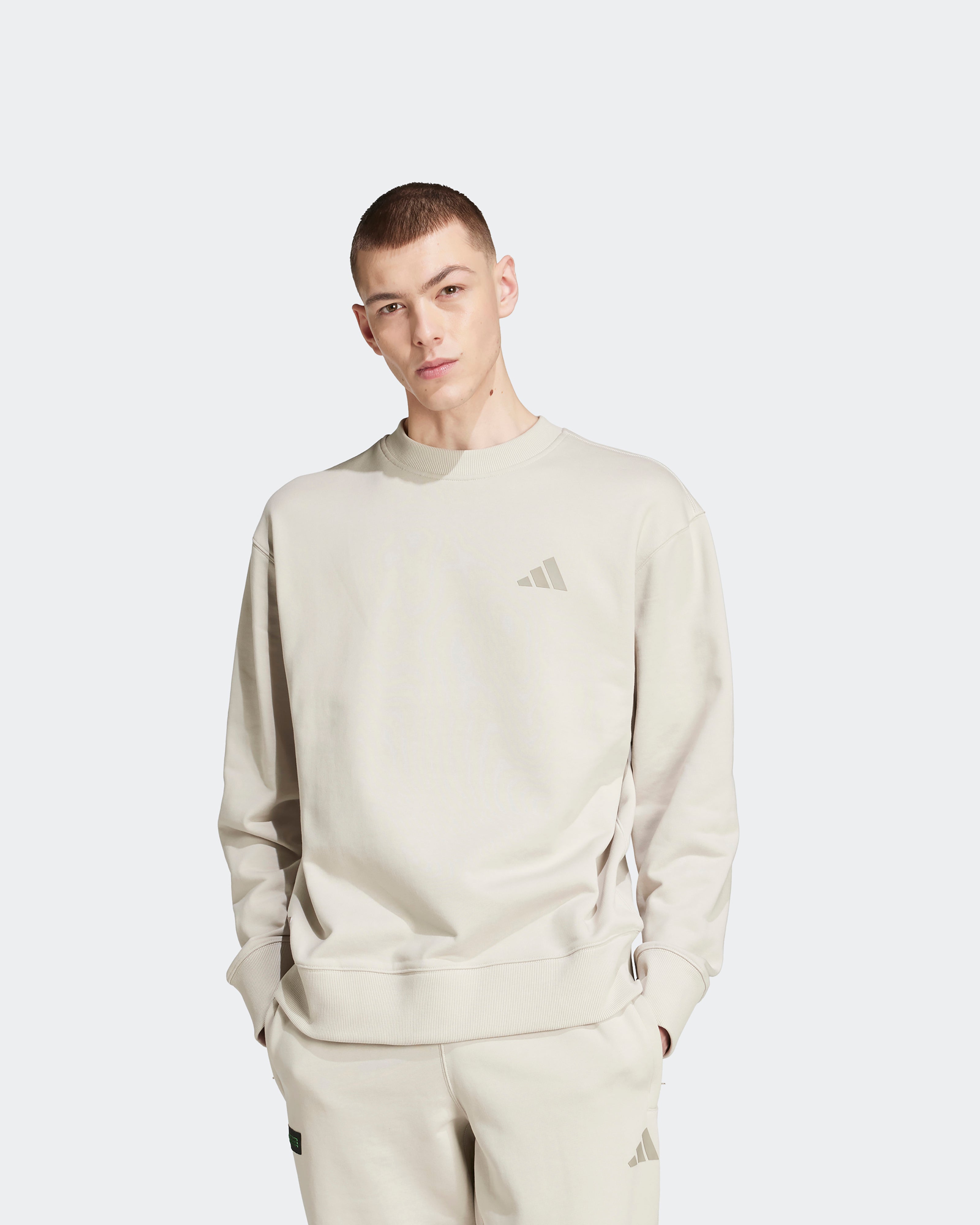 Image of Mens Premium Sweat-Top Beige