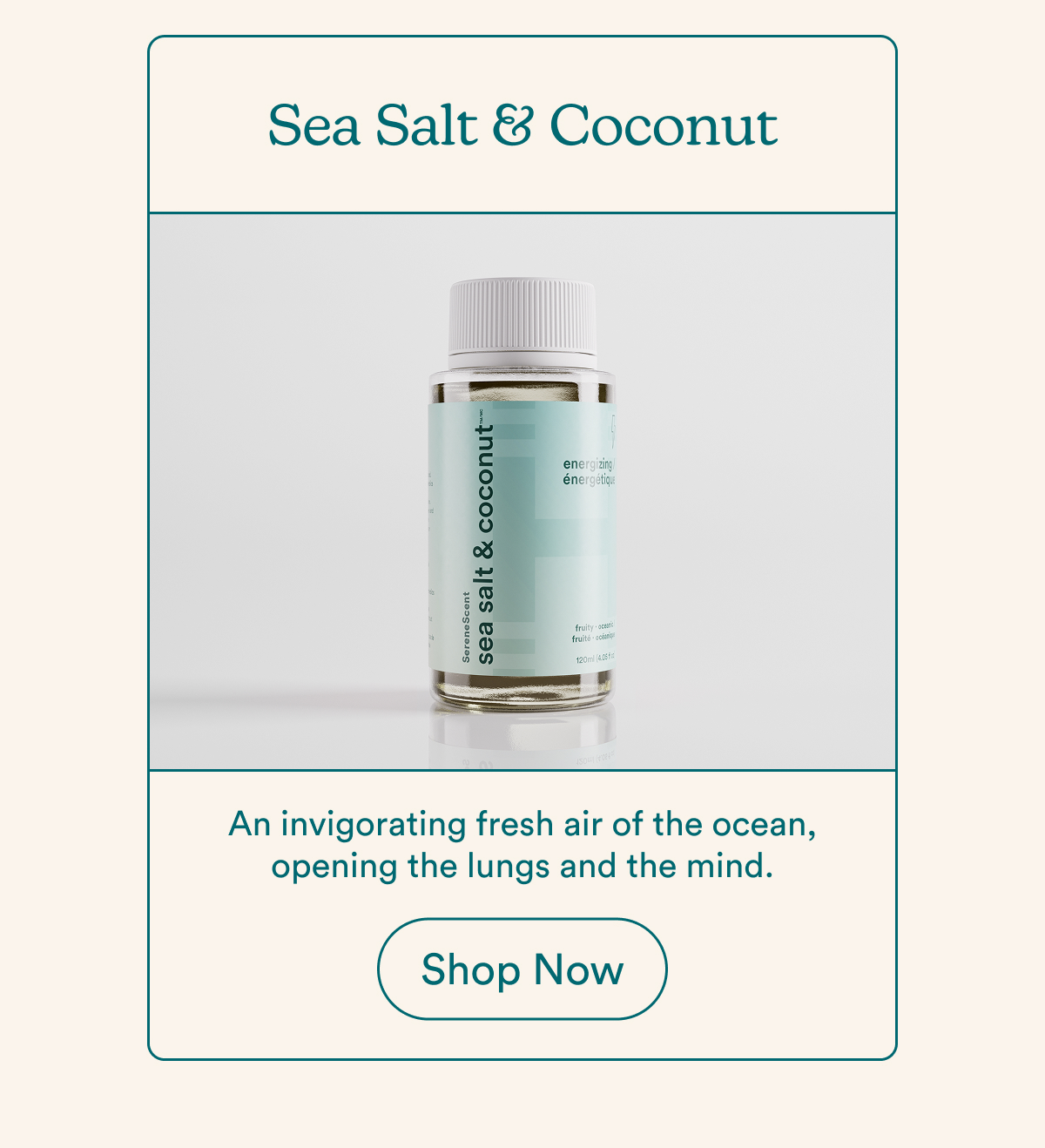 Sea Salt and Coconut