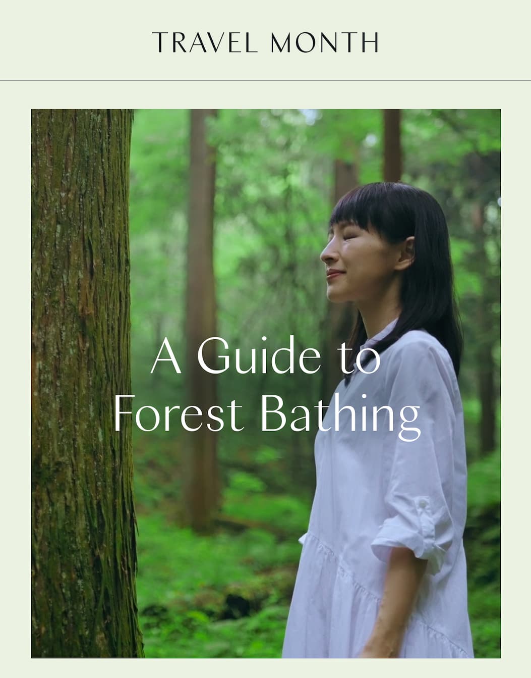 Travel month: A Guide to Forest Bathing 
