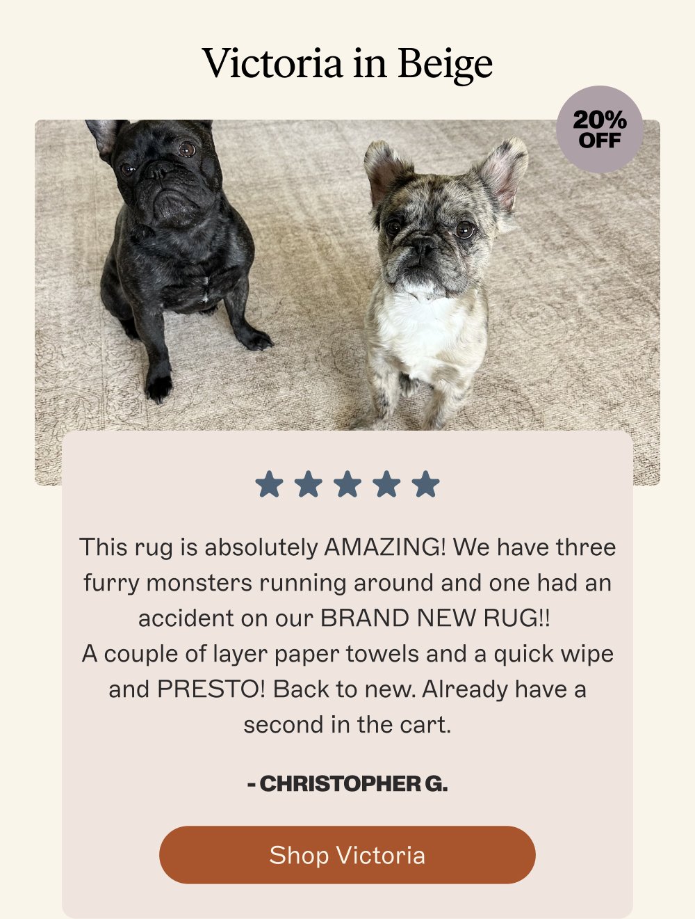 Victoria in Beige 20% off This rug is absolutely AMAZING! We have three furry monsters running around and one had an accident on our BRAND NEW RUG!! A couple of layer paper towels and a quick wipe and PRESTO! Back to new. Already have a second in the cart. - Christopher G. Shop Victoria