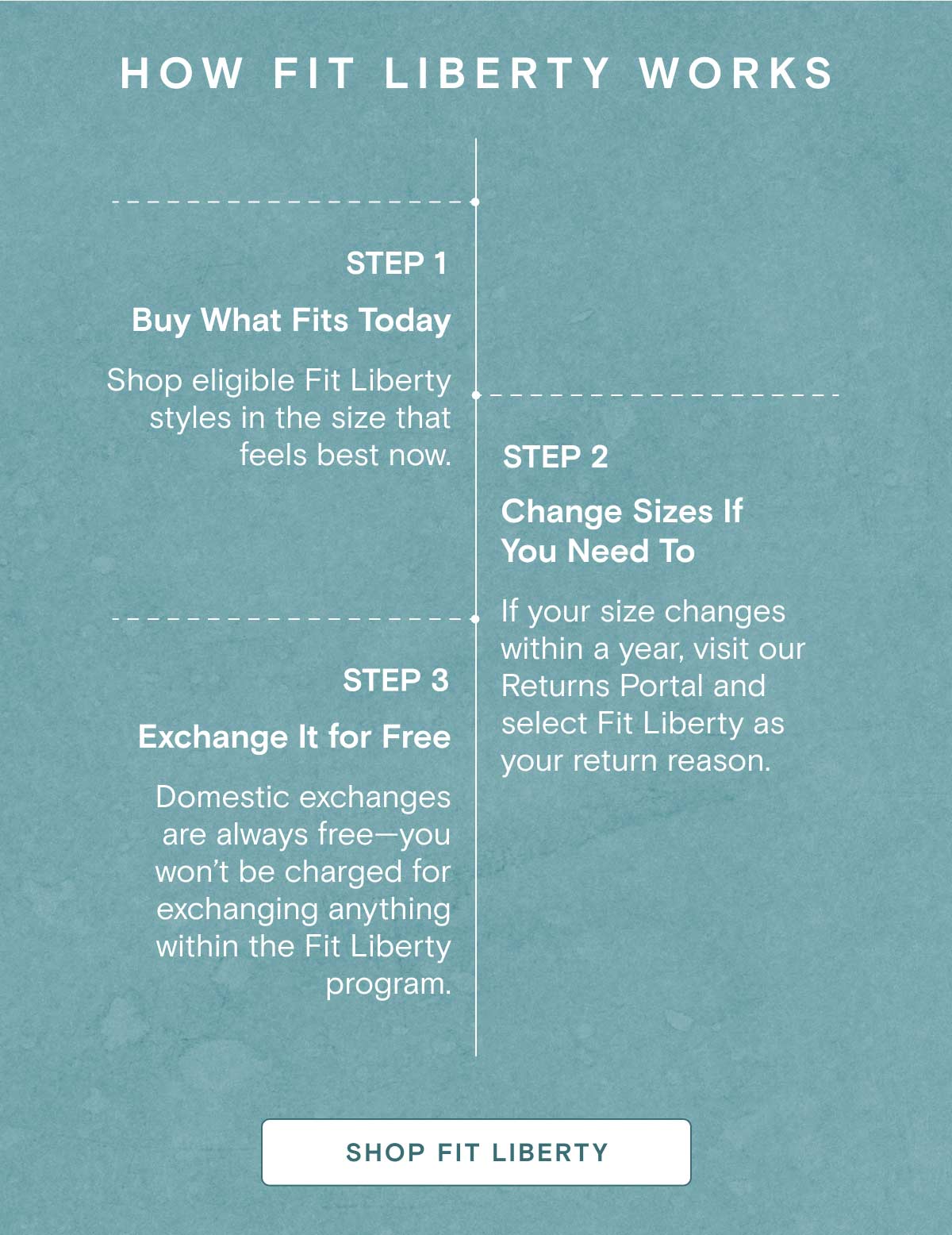 How Fit Liberty Works