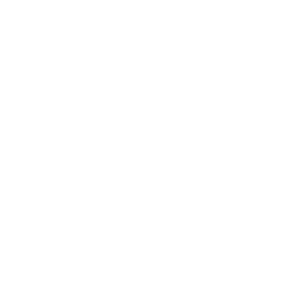 Oracle Red Bull Racing Partners