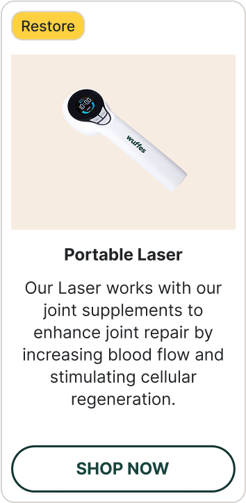 Shop Portable Laser Therapy