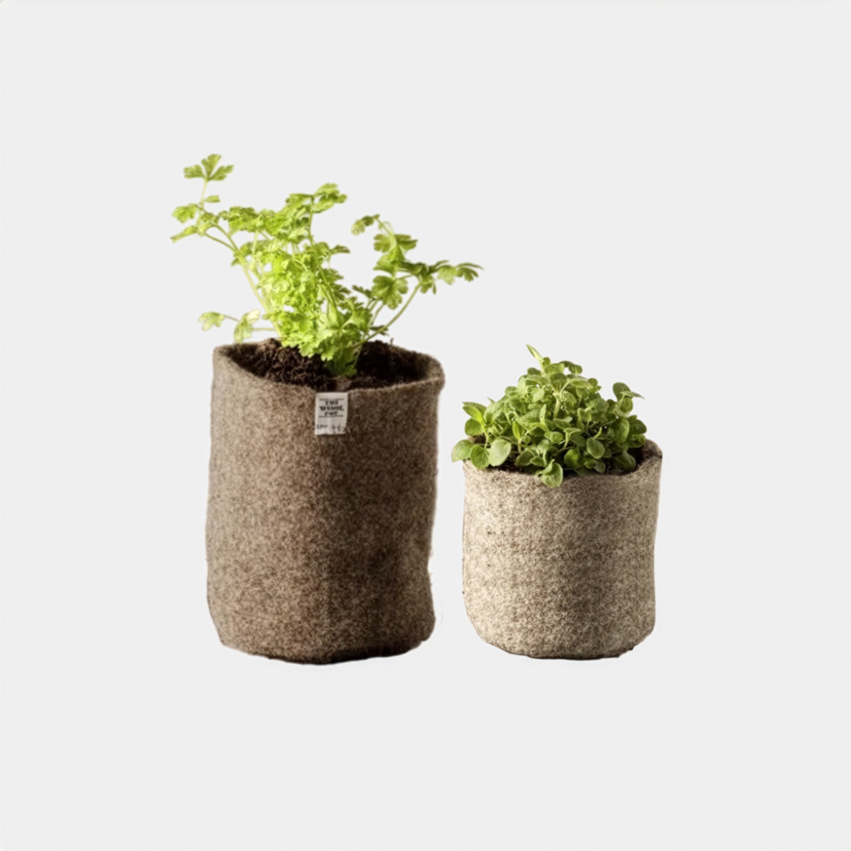Image of Biodegradable Wool Plant Pots