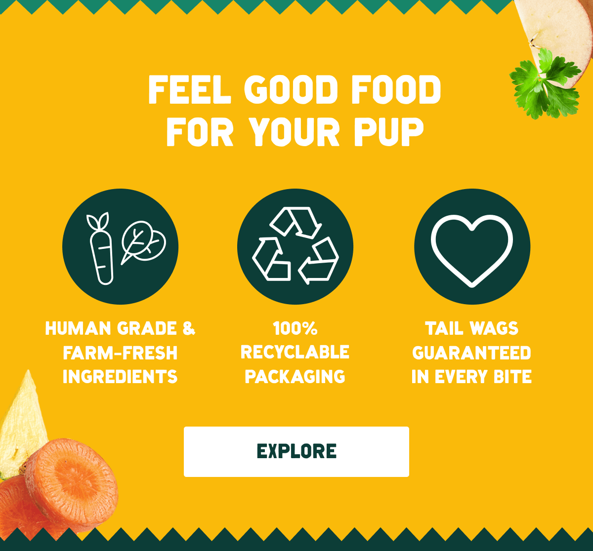 Feel good food for your pup 