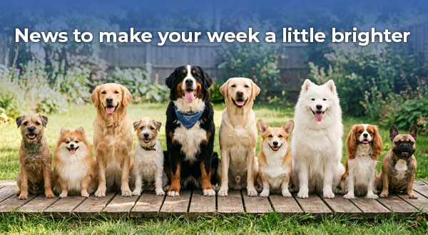 News to make your week a little brighter