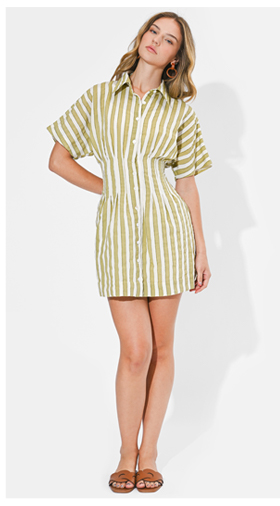 Posie Pleated Short Sleeves Shirt Mini Dress