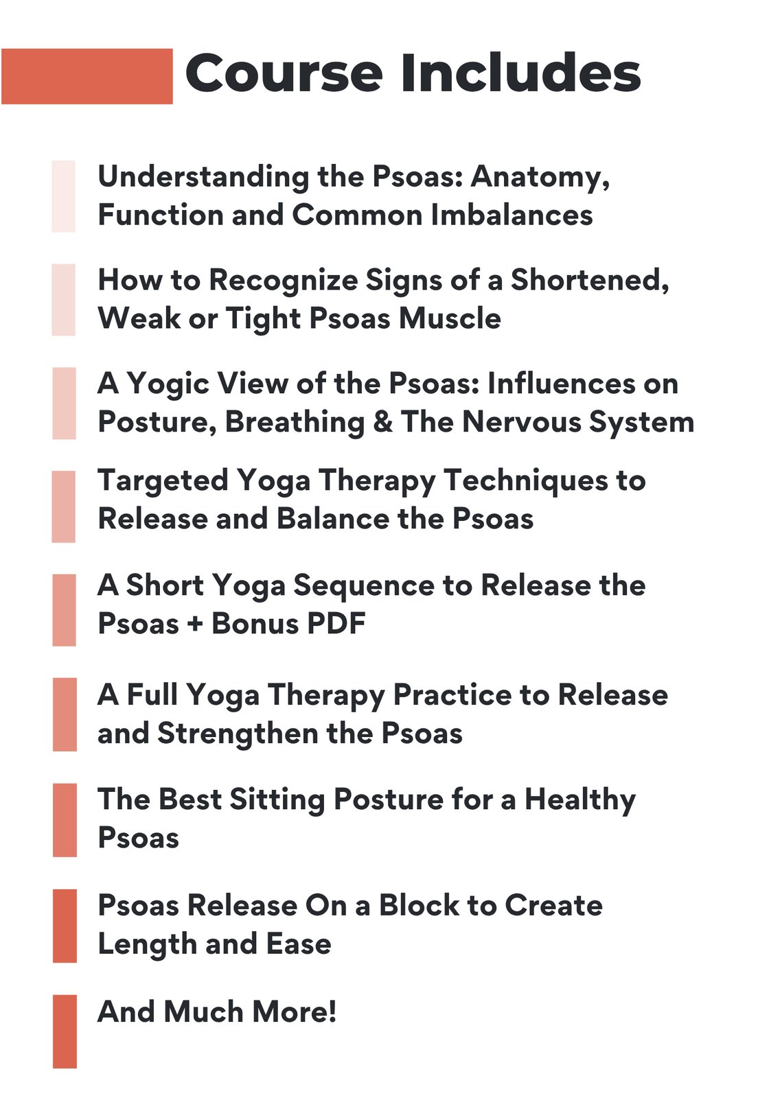 Course Includes