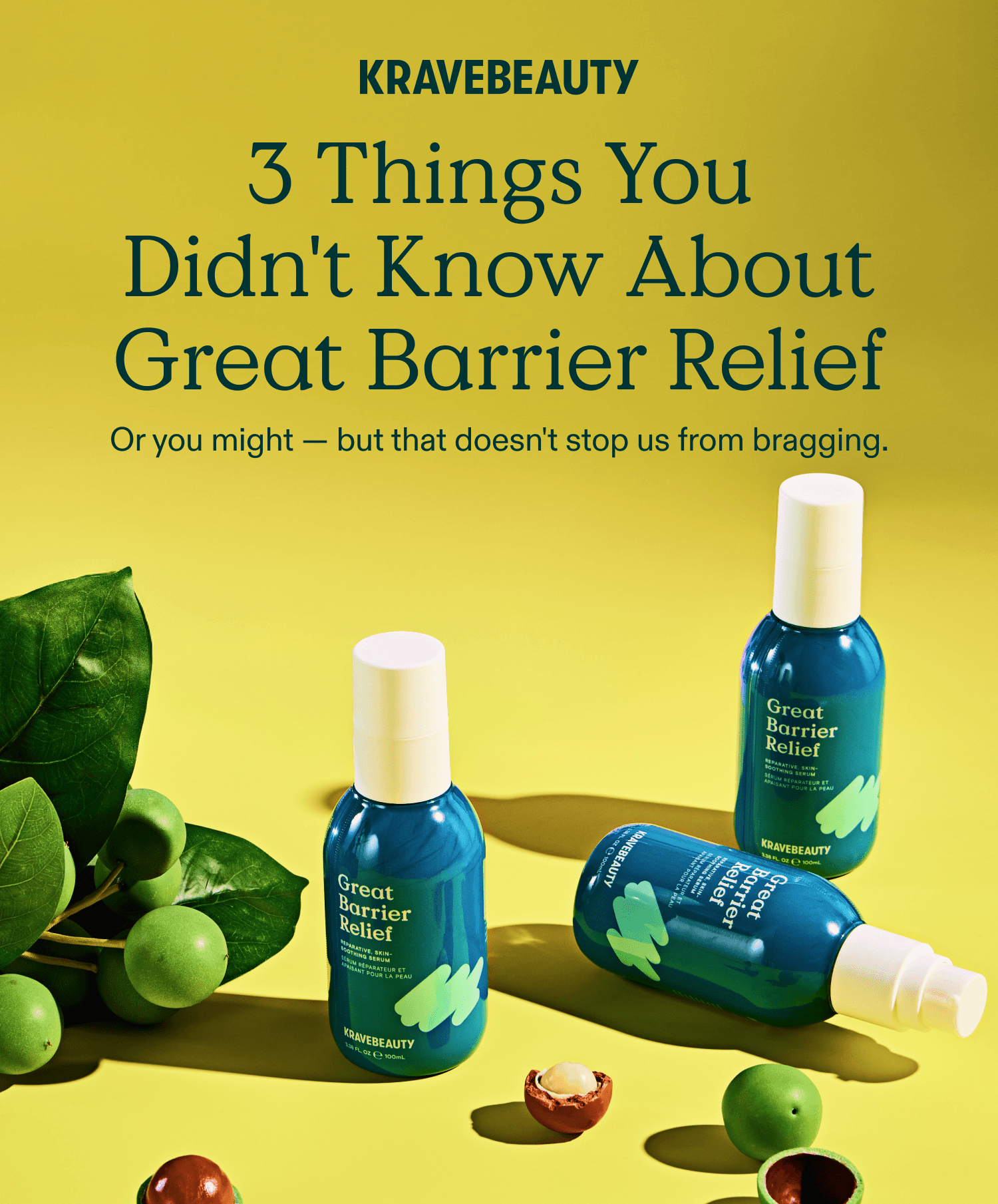 3 thing you didn't know about Great Berrier Relief