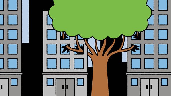 Illustration of a large tree damaging windows on nearby city buildings.