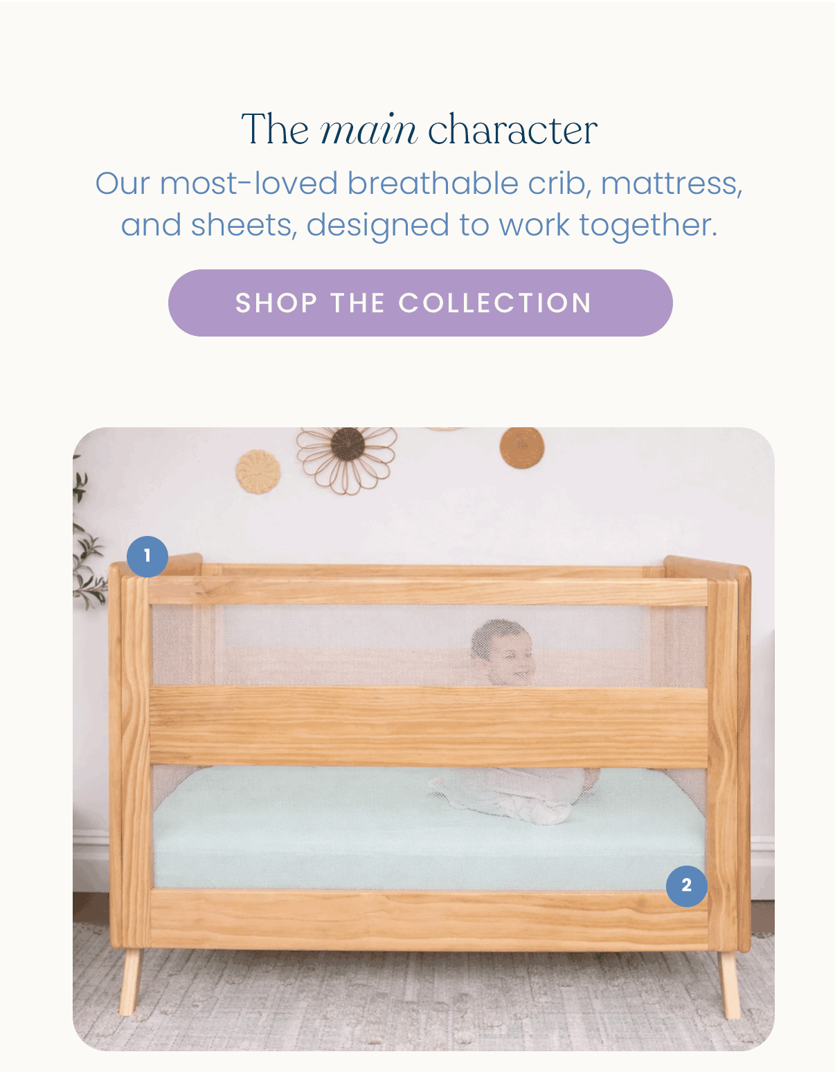 Shop the collection